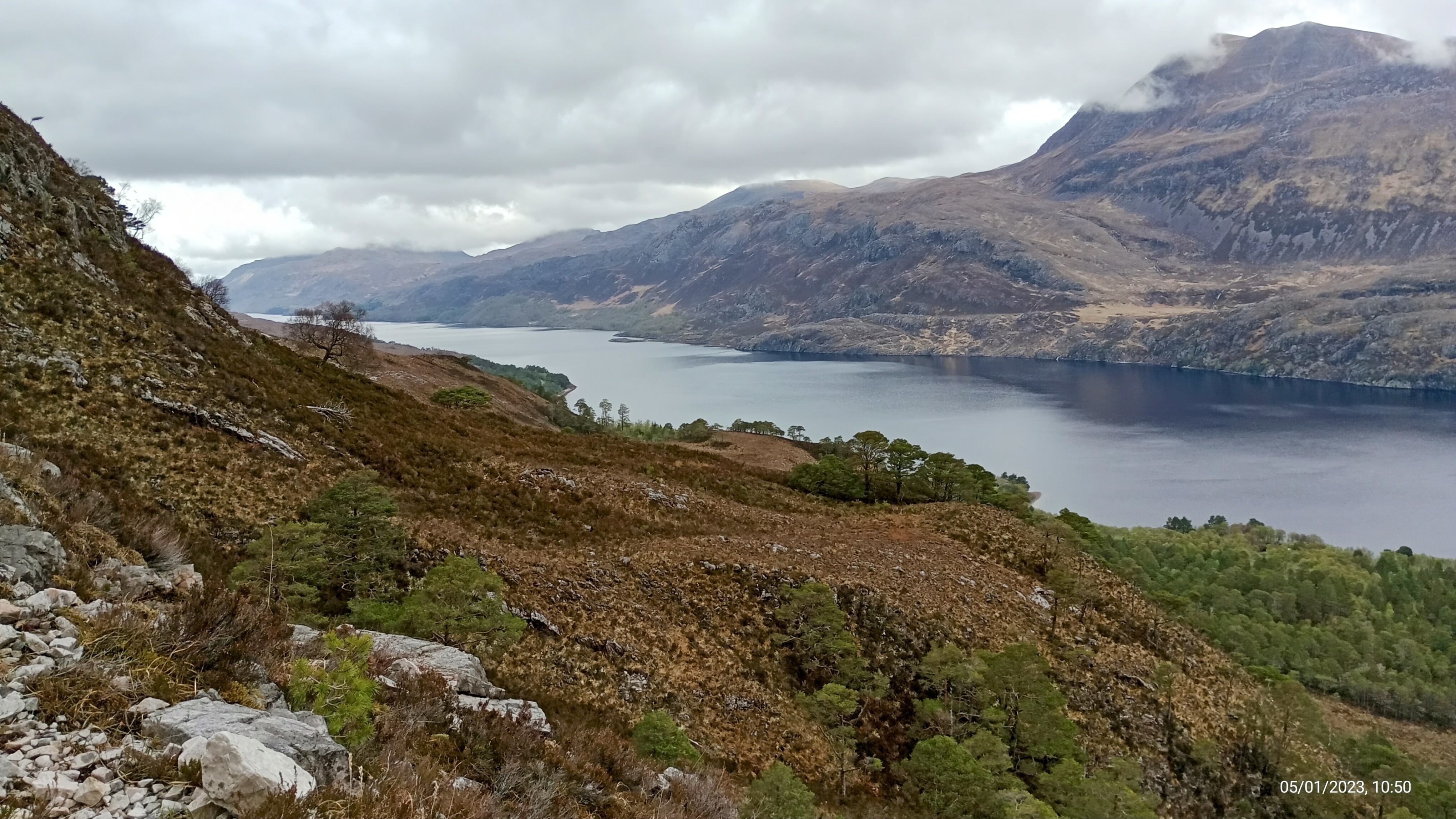 Loch Maree and Slioch